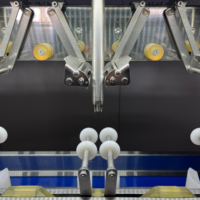 Machine à éplucher les mangues industrielle 8 stations, équipement de dépeluchage de fruits et légumes avec composant moteur central, vente chaude