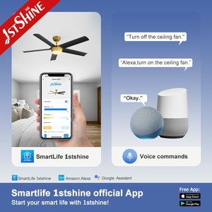 1stshine Quạt trần Trần Hiện Đại trang trí 52 inch DC động cơ thấp Watt quạt trần với điều khiển từ xa - Product Image 6