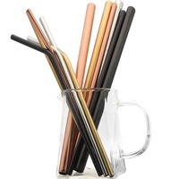 Pailles à Thé en Acier Inoxydable Boba Smoothie Paille Métallique 10mm 12mm Avec Brosse