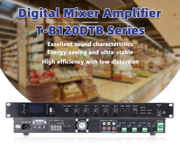 Sıcak satış RMS 60w120W 240w 3500w 500w 650w 2 kanal sınıf D dijital Stereo mikser amplifikatör ile MP3(USB/SD)/TUNER