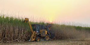 Maquinaria Agrícola, Cosechadora de Caña de Azúcar S935TA 350HP, Transmisión por Engranajes, Caja de Cambios para Hojas de Té y Maíz, Alta Productividad - Product Image 4