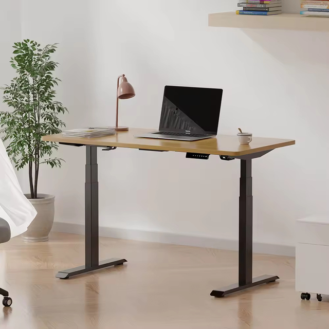 Dual Motor Electric Standing Desk 660-1310mm Height Adjustable Sit Stand Office Desk Hidden Monitor Lift Hospital Workstation