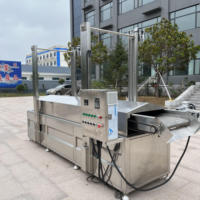 QD 2026 Machine de friture continue électrique et à gaz pour nuggets de poulet, friteuse commerciale continue pour frites