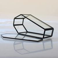 Pequeña urna de cristal con forma de ataúd para Halloween, estuche de exhibición para especímenes de insectos, caja gótica para recuerdos, suministro al por mayor