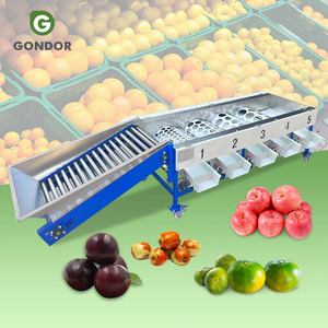 Máquina Clasificadora Industrial de Rodillos para Frutas: Ajo, Granada, Coco, Arándano, Jujube, Melocotón - Product Image 1