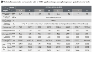 Chaudières à eau chaude au <span class=keywords><strong>gaz</strong></span> et au mazout CNCD pour le Bangladesh, 1 à 20 tonnes, horizontales, industrielles, haute efficacité, en acier inoxydable - Product Image 6