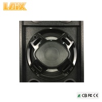 Enceinte Laix DS-6 12 pouces Bass Custom avec amplificateur 120W+120W Contrôle DJ large Gamme de son Home cinéma Stéréo Audio Enceintes de scène