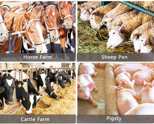 Máquina Autopropulsada para Esparcir Alimento, Máquina de Alimentación para Ganado, Uso Agrícola - Product Image 6