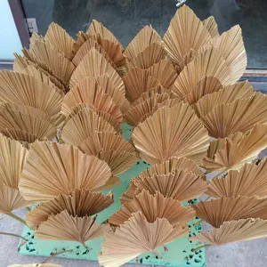 SZ04328 Whosale driedpalmleaves Natural Processed palm tree leaves Preserved Dried palm leaf dry palm leaf Decoration
