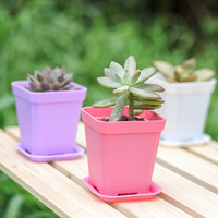 Macetas Cuadradas de Plástico Negro, Mini, Gruesas y Coloridas, para Suculentas y Plántulas, Uso en Hogar y Oficina, Venta al Por Mayor