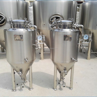 300L 500L 1000L Équipement de fermentation à usage domestique pour le brassage de la bière