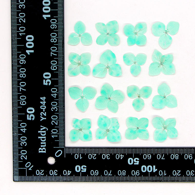 Light Blue 12pcs/bag