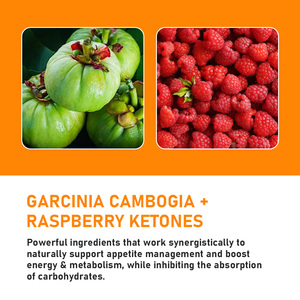 Suplemento de Extracto de Fruta de Garcinia de Alta Calidad, Aumenta el Metabolismo, Píldoras Antioxidantes Potentes Premium, Cápsulas Quemagrasas para Pérdida de Peso - Product Image 4