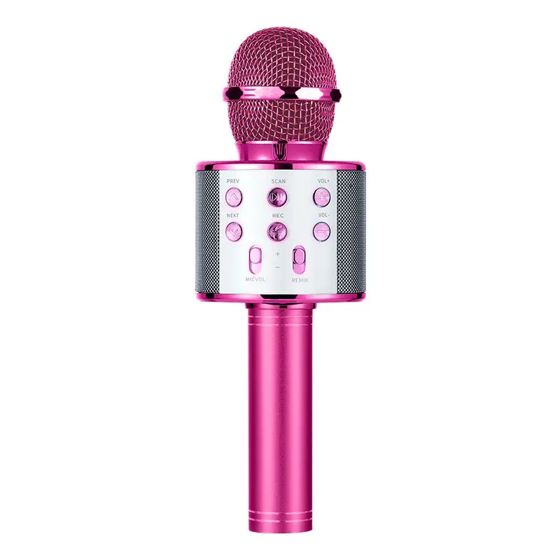 Ws858 Professionele Karaoke Draadloze Microfoon Luidspreker Met Handheld Microfoon Mic Muziekspeler Zingende Recorder