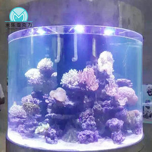 En gros pas cher personnalisé Offre Spéciale moderne grand <span class=keywords><strong>aquarium</strong></span> toilette combattant poisson <span class=keywords><strong>aquarium</strong></span> réservoir - Product Image 5