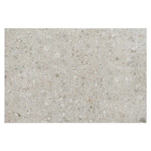 Piastrella in Porcellana Effetto Cenere Nantes 12x24 Pollici per Pavimenti e Pareti - Product Image 1