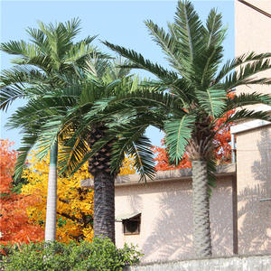 Palma da Cocco Artificiale Gigante Personalizzata in Vetroresina e Plastica da 3m 5m 8m per Arredamento Interno ed Esterno di <span class=keywords><strong>Casa</strong></span> e Giardino - Product Image 2