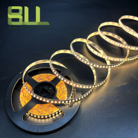 Vente en gros 180LED 24V 8mm de largeur 5M de rouleau Blanc chaud Intérieur Flexible 2835 SMD Bande lumineuse LED