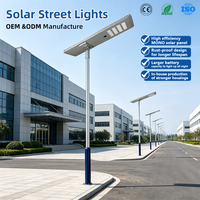 Lampadaire solaire intégré en aluminium moulé sous pression 100W IP65 étanche, lampe de route LED avec module SMD 6000K, éclairage haute visibilité