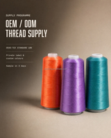 Fil à broder acrylique 875 couleurs 24S 2 brins 3000 yards Couleur unie Aspect artisanal Vente en gros OEM