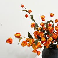 Kunstbloemen, Lantaarnvruchten, Zure bessen, Modelkamers Woondecoratie, Bruidsfotografie, Scène-arrangement