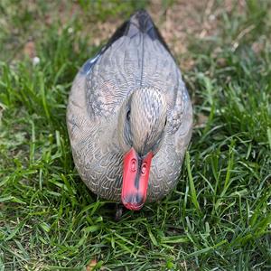 Décoy <span class=keywords><strong>de</strong></span> canard en plastique réaliste, pratique, flottant, pour la <span class=keywords><strong>chasse</strong></span>, la décoration <span class=keywords><strong>de</strong></span> jardin, piscine, étang, cour, lac - Product Image 3