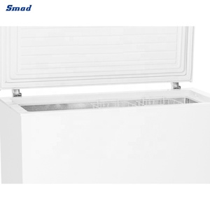 Congélateur horizontal à porte pleine de 8,7 pieds cubes pour viande - Product Image 5