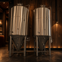 Cuve de Fermentation Conique en Acier Inoxydable Tonsen 60HL 6000L pour Brasserie Artisanale à Grande Échelle