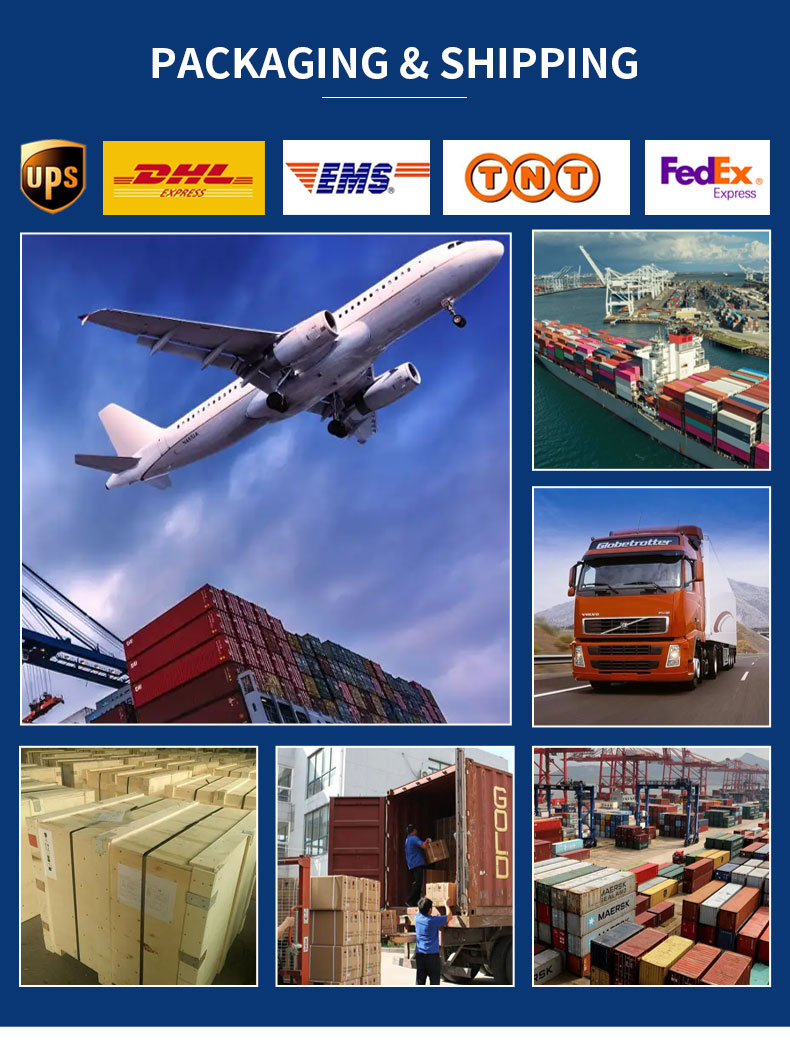 Professional Large Ozone Generator 100G/H Ozone Sterilization Machine Water Cooling 10