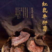Champignons Suillus Rubricontextus comestibles Champignons Suillus Rubricontextus rouges sauvages naturels à vendre