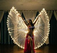 Offre Spéciale Ailes de Danse Orientale LED pour Adultes, Ailes Dédoublées pour Spectacles