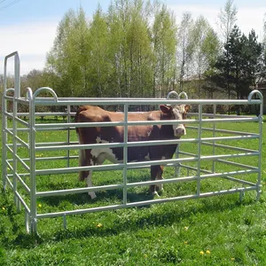 Bảng điều khiển gia súc mạ kẽm khung kim loại hàng rào trang trại cho gia súc và hàng rào tấm
