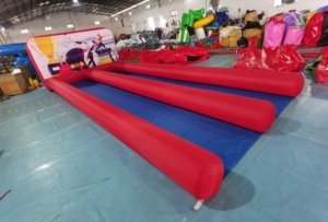 2025 Hot <strong>Sale</strong> Double lane Inflatable <strong>Bowling</strong> <strong>Alley</strong> Ten Pin <strong>Bowling</strong> Game - Product Image 5