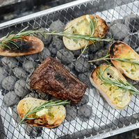 Mini réchaud barbecue à charbon en acier inoxydable pliable et portable jetable