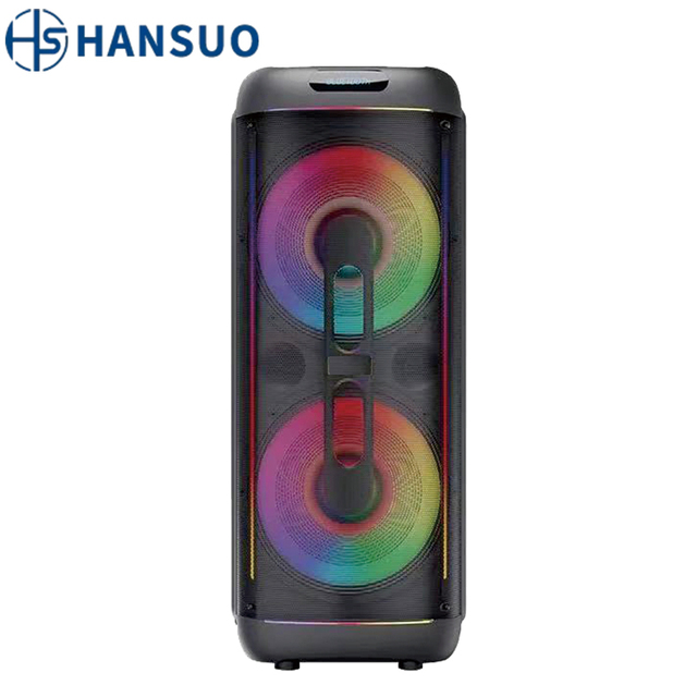 Original and New Speaker  Dual 15inch  High Power Caixas Speaker Box Portable Karaoke  HS-TD15C1