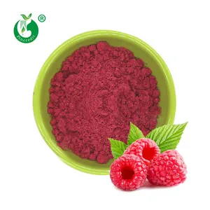 Wholesale Organic Red Freeze Dried Raspberry Powder