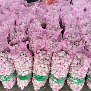 Fresco Branco Roxo Alho Cebolas Atacadista na <span class=keywords><strong>China</strong></span>/Alta Qualidade 2025 Nova Colheita <span class=keywords><strong>China</strong></span> Alho - Product Image 1