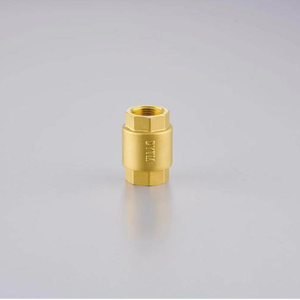 วาล์วกันกลับทองเหลืองคุณภาพสูง DunYun HPb 59-1 <span class=keywords><strong>รุ่น</strong></span> 502-3 พร้อมเกจ<span class=keywords><strong>วัด</strong></span>แรงดันน้ำแบบสปริง ระบบไฮดรอลิก ซีล PTFE ทนอุณหภูมิปานกลาง - Product Image 5