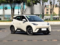 2025 BYD Seagull 405km Flying Edition: le style urbain rencontre la liberté électrique