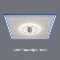 Pièces d'ascenseur pour villas et appartements de luxe : cabine, murs en verre panoramique, cadre en acier inoxydable, éclairage de plafond LED, silencieux