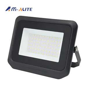 led flood light ip65 10000k, led flood light ip65 10000k Suppliers and  Manufacturers at