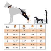 Quantité minimale de commande bas de jambe arrière réglable pour chien vente à chaud vente en gros de genouillère/attelle de soutien en métal pour chien