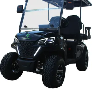 SHUNCHA 2023 Alta calidad Off-Road Club 60V Carros de golf eléctricos baratos 4 plazas Golf Buggy Precio