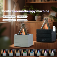 Nouveau diffuseur d'huiles essentielles portable de 250 ml à piles, lampe LED colorée, USB, batterie, diffuseur d'arômes pour la maison, flamme de feu
