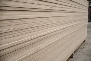 Contrachapado de Plataforma Vietnamita 4x8 Pulgadas, Lijado por Ambos Lados, para Uso en Muebles - Product Image 2