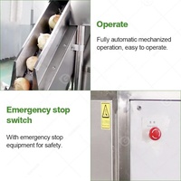 Équipement de chaîne de processus de peau coupée de racine ligne automatique Yb-3 éplucheur vert trancheuse automatique de machine d'épluchage d'oignon