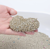 Litière pour chat en bentonite anti-adhésive de 5 kg, respectueuse de l'environnement, avec base anti-adhésive