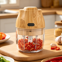 Elektrische Mini Knoflookhakker 250ML USB Groente- en Uienhakker Draagbare Kleine Voedselprocessor voor Gember Chili Groenten
