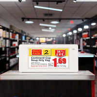 ESL Label rak elektronik Digital, papan reklame Epaper Digital 2.13 inci layar tampilan Eink Digital farmasi ESL