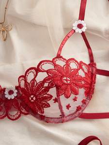 Red Lace Womens Intimates <b>Sexy</b> Lingerie <b>Set</b> Sheer Mesh Underwire Bra and Tie Side Thong 2 Piece <b>Set</b> Elegant Underwear <b>Set</b> - Product Image 6